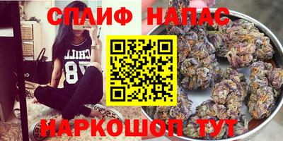 стаф Можайск