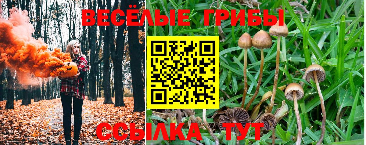 где купить   Псилоцибиновые грибы Cubensis  Вход с VPN  Гурьевск 